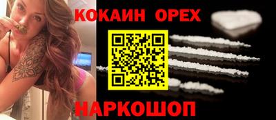 крисы Моздок