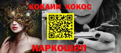 крисы Моздок