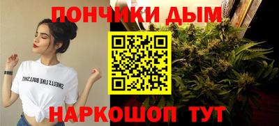 крисы Моздок