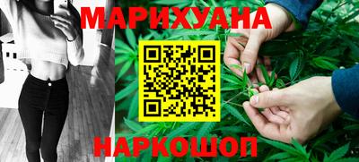 крисы Моздок