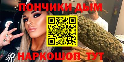 крисы Моздок