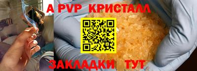крисы Моздок
