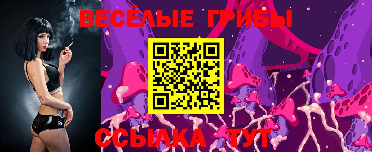 Галлюциногенные грибы GOLDEN TEACHER  Псилоцибиновые грибы Psilocybe  Бузулук  Вход с VPN 